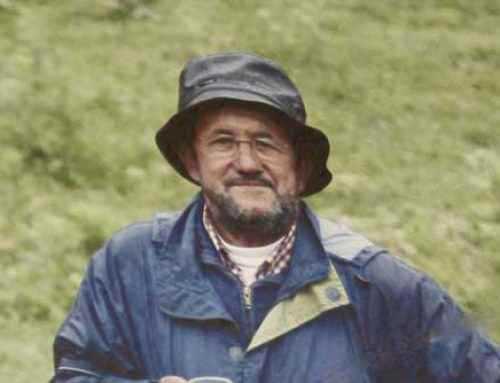 Víctor Chicote Gil, soria, Bar movil